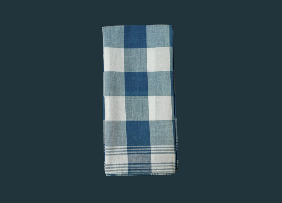 Blue Checkered Napkin (set of 4)