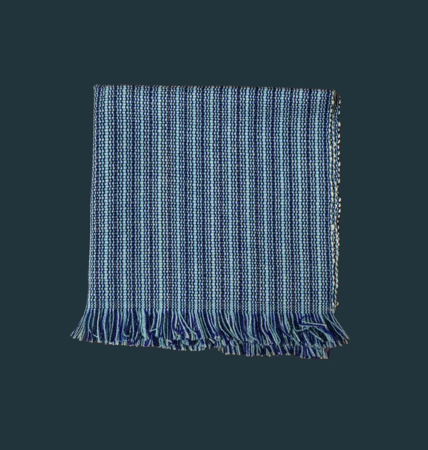 Blue Fringe Napkins (Set of 4)