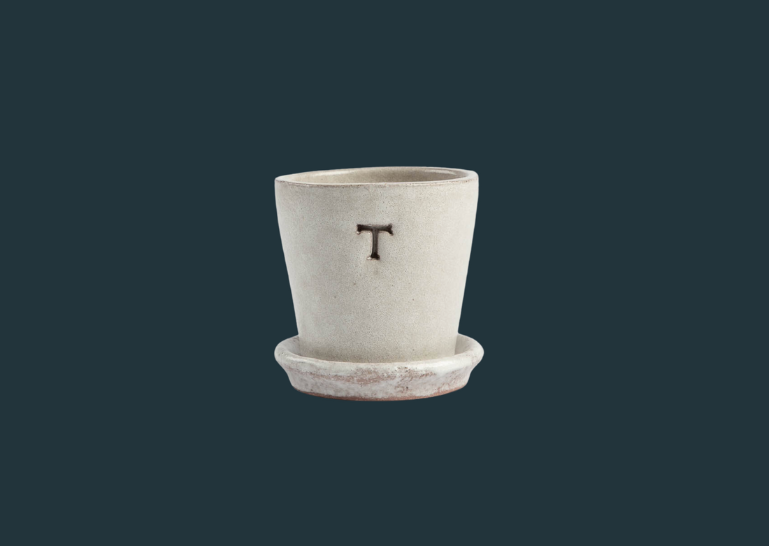 Petite White Terracotta Pot