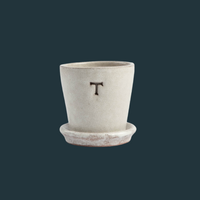 Petite White Terracotta Pot