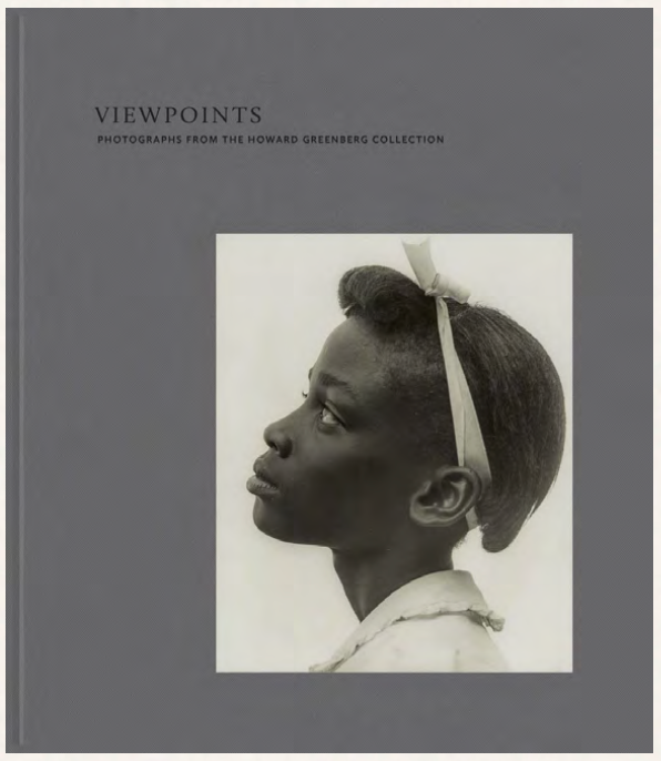 Viewpoints: Photographs From The Howard Greenberg Collection