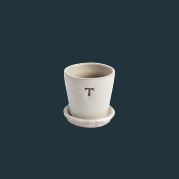 Petite White Terracotta Pot & Saucer