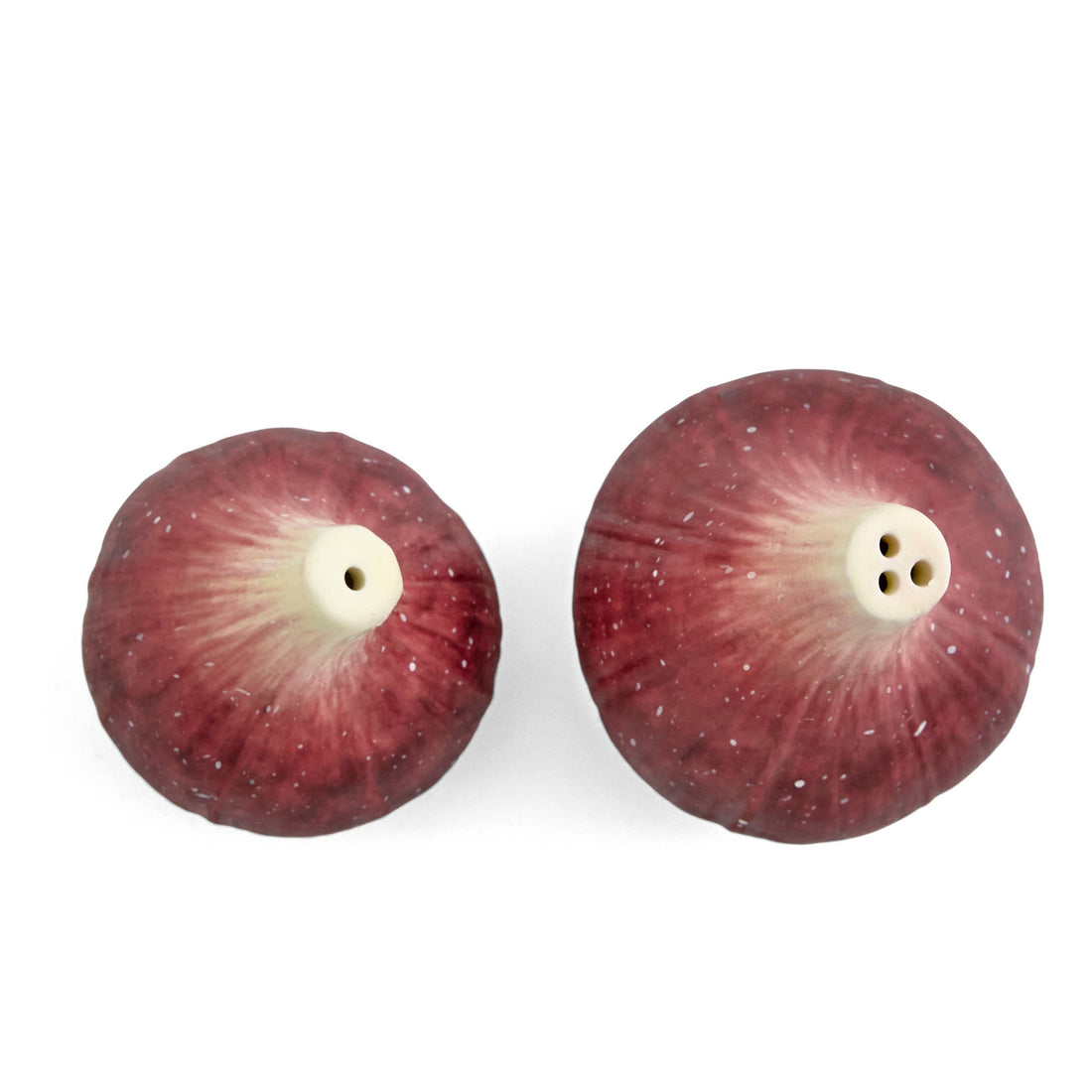 Portmeirion Nature's Bounty Salt and Pepper Set