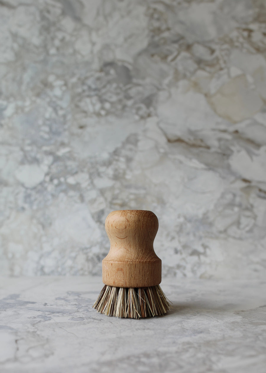 Palm Pot Cleaning Brush