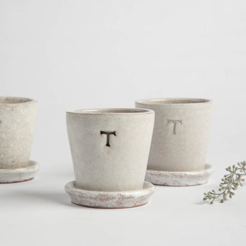 Petite White Terracotta Pot & Saucer